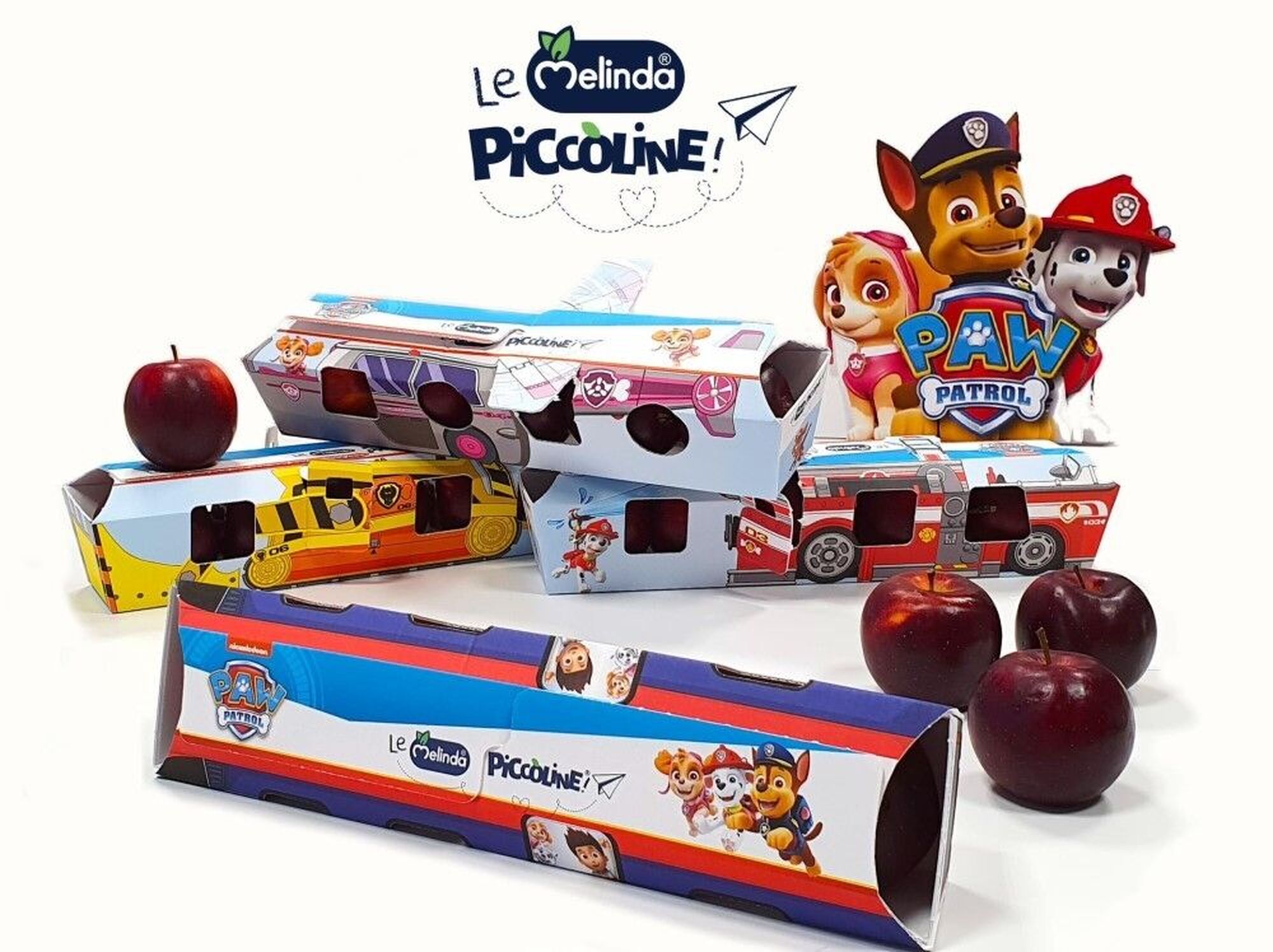 Packaging limited edition a tema Paw Patrol