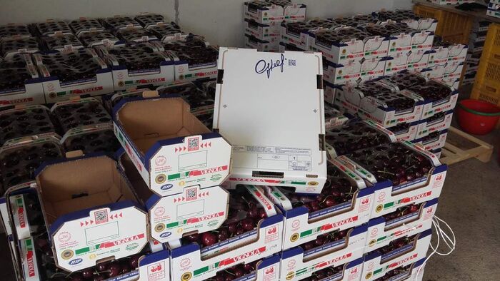 Per Vignola raccontiamo freschezza e origine del prodotto, in un modo unico e digitale